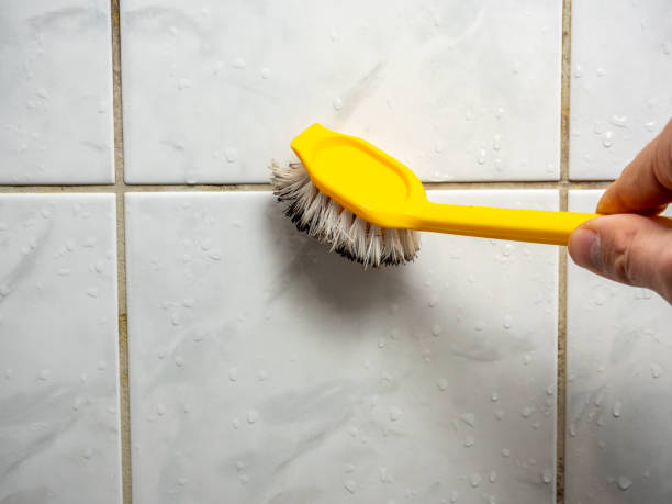 Best Emergency Mold Removal  in White Bluff, TN