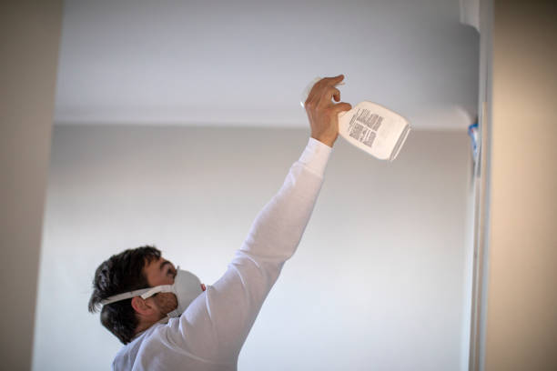 Best Mold Damage Repair  in White Bluff, TN